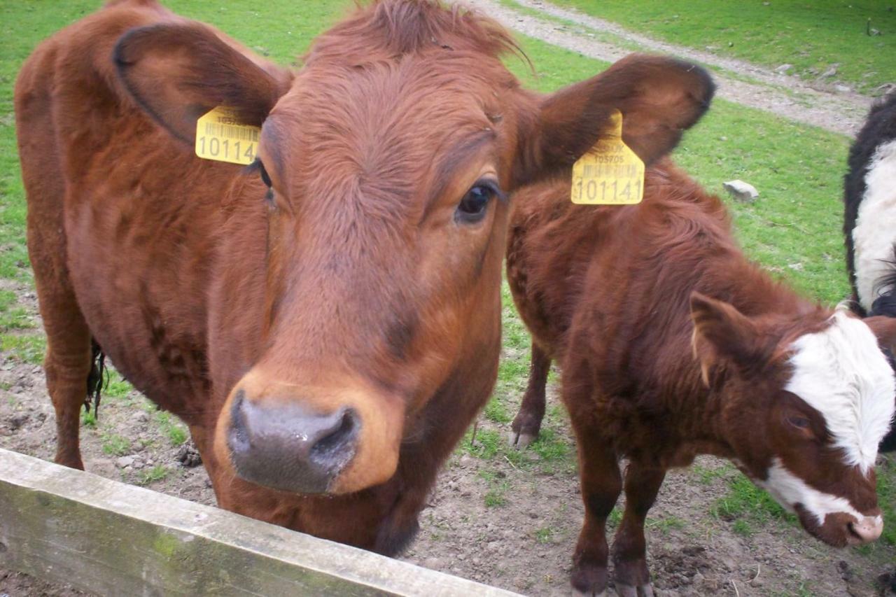 Вилла Ullathorns Farm Киркби-Лонсдейл Экстерьер фото