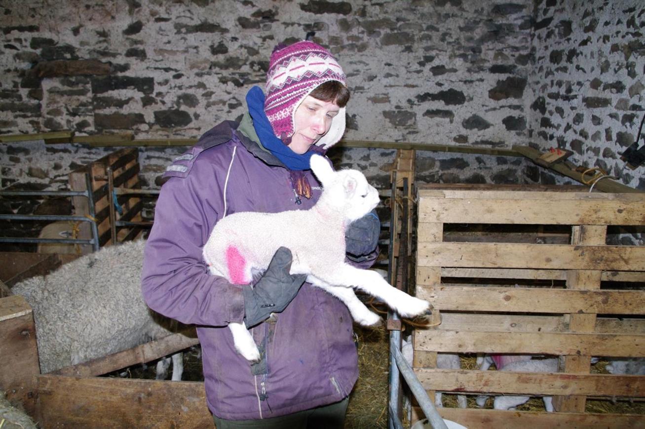 Вилла Ullathorns Farm Киркби-Лонсдейл Экстерьер фото