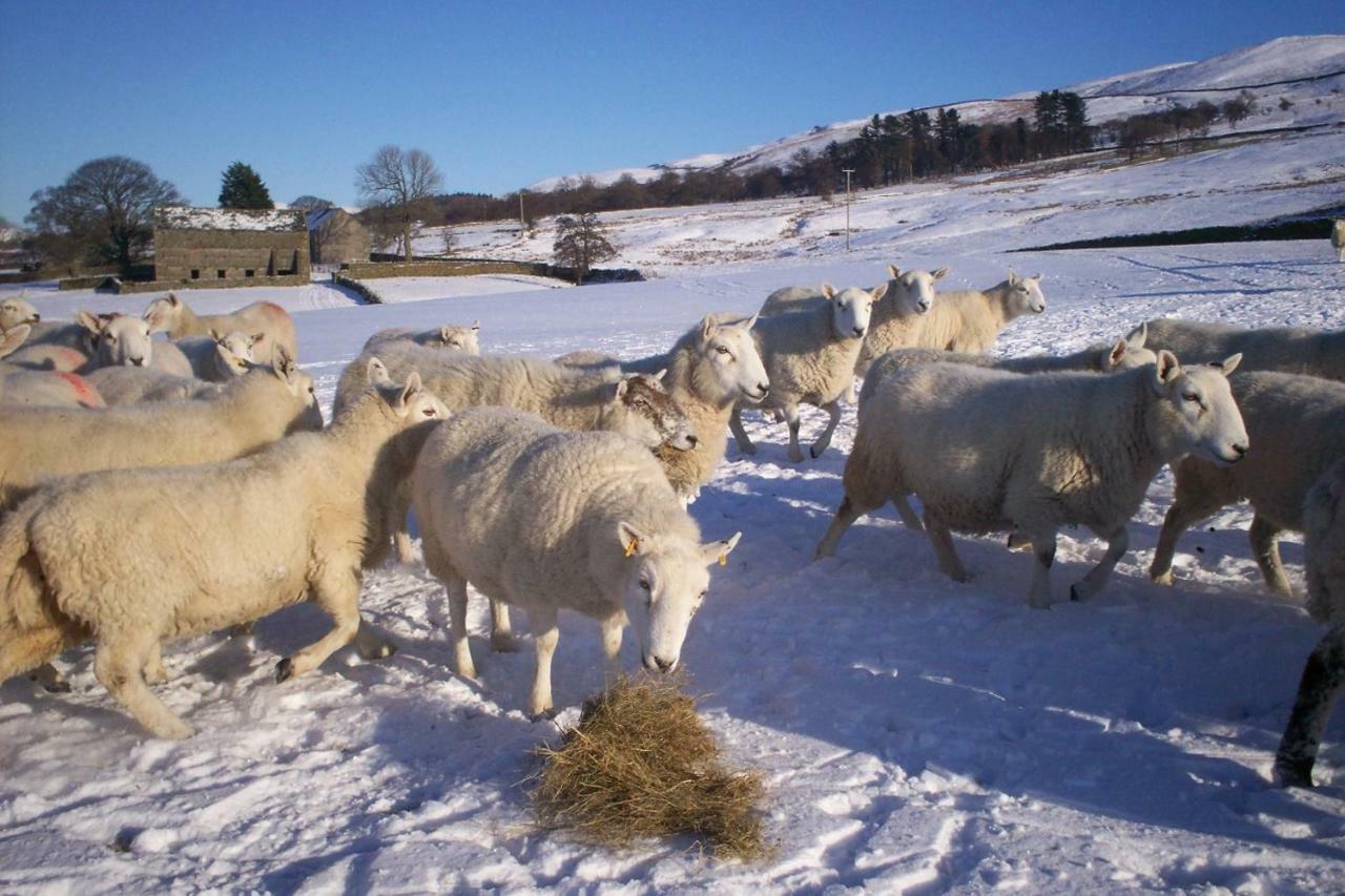 Вилла Ullathorns Farm Киркби-Лонсдейл Экстерьер фото